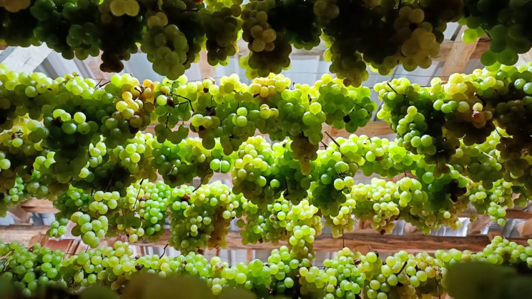 Konya’da yüz yıllardır süren bir gelenek: Üzüme farklı bir lezzet katıyor 10